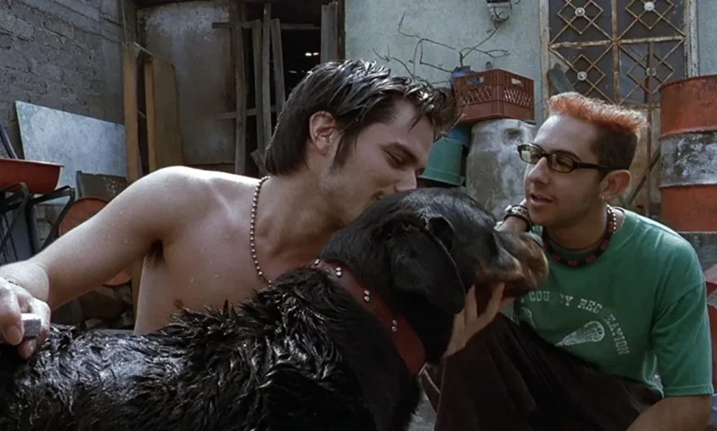 Lo perro de amores perros amores perros y el sonido de una pelicula que lo cambio todo